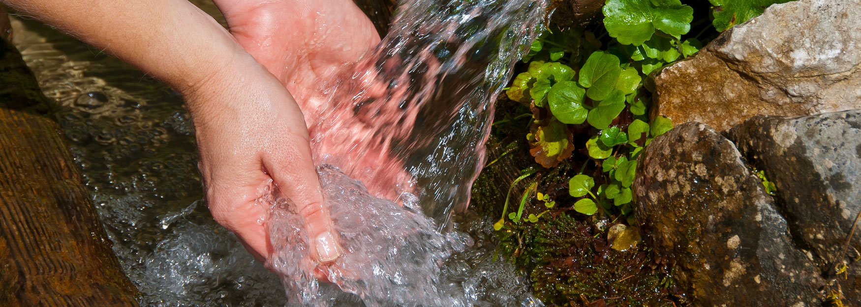 Leasing_Inhalt_Header_1750 x 625.jpg Leasing_Inhalt_Header_1750 x 625.jpg