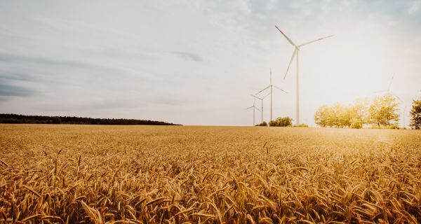 Windräder_Weizenfeld_Teaser.jpg Windräder_Weizenfeld_Teaser.jpg