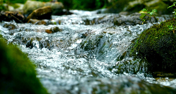 Leasing_Teaser_600 x 320.jpg Leasing_Teaser_600 x 320.jpg