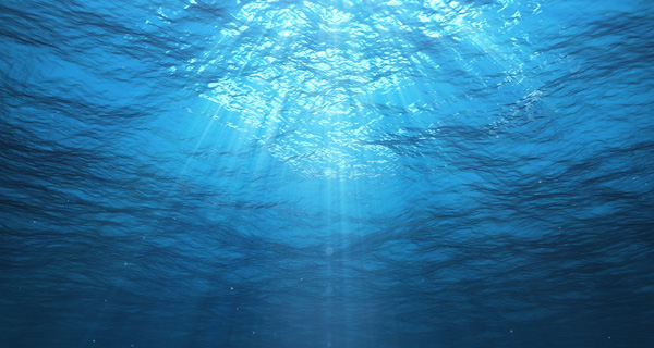 Mietkauf_Teaser_600 x 320.jpg Mietkauf_Teaser_600 x 320.jpg