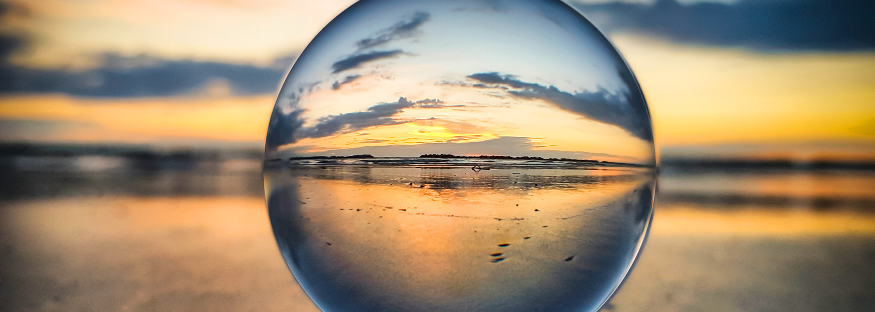 Im_Fokus_Header_1750 x 625.jpg Im_Fokus_Header_1750 x 625.jpg